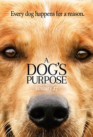 A Dogs Purpose Review