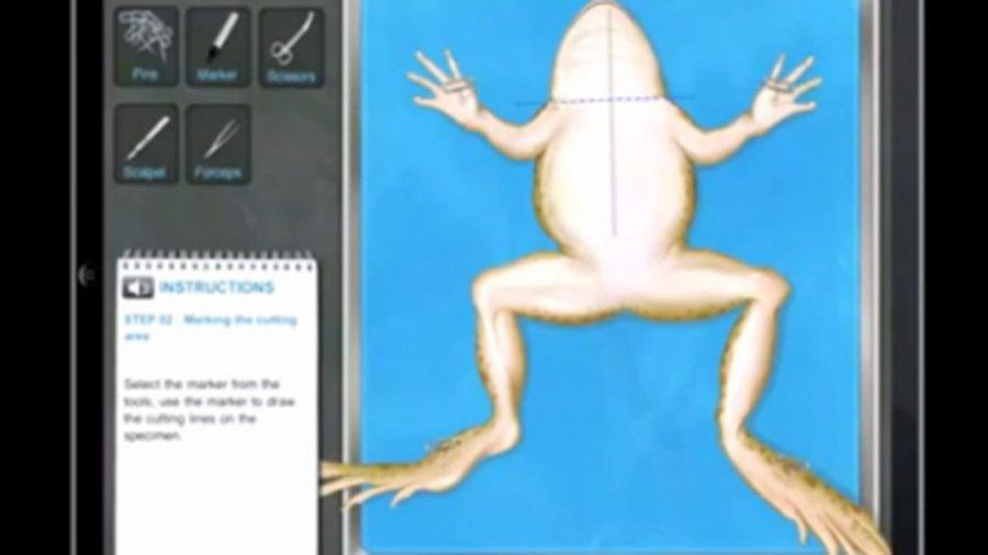  Virtual Dissection in the Classroom
