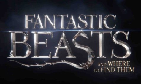 fantasticbeastsandwheretofindthem