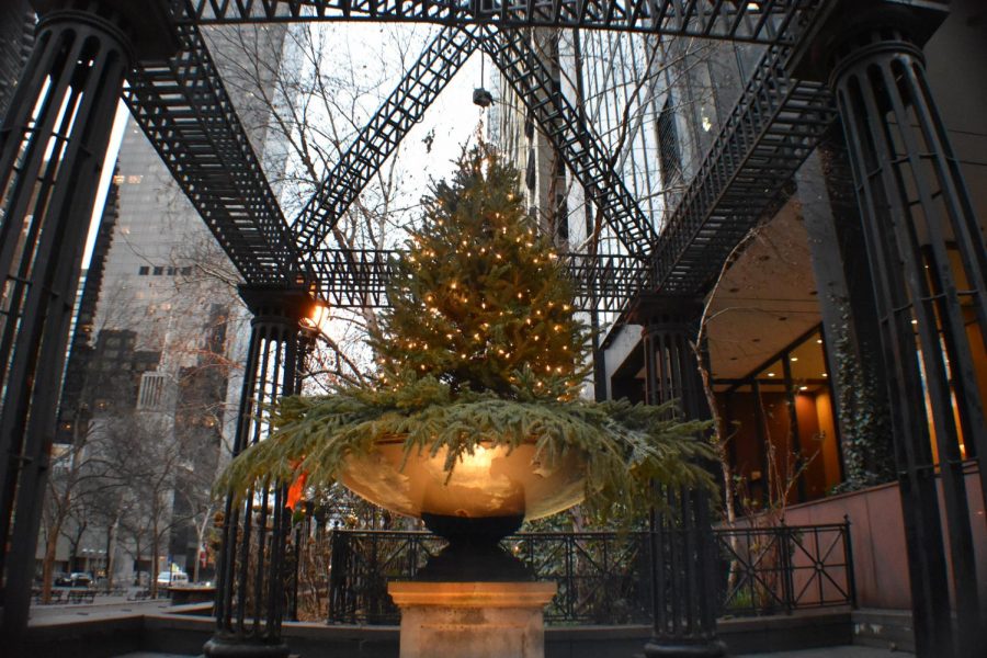 Winter Lights - Chaitanya Kadimisetty
