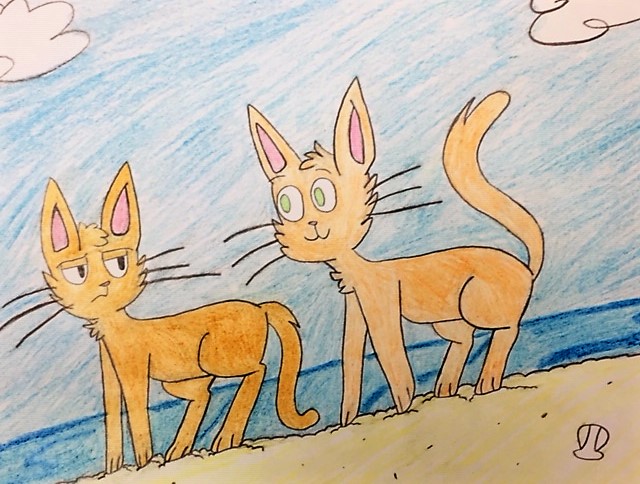 Cartoon Rendering - Dilara Akin